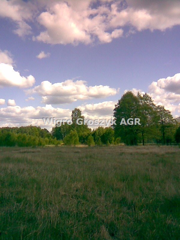 Działka 9 497 m² z lasem i mediami, plan zagospodarowania Nowe Polesie  9 497m2 Foto 1