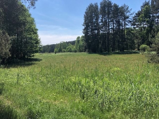 Działka rolna 1,8 ha nad rzeką, rekreacja i wypoczynek. Jemiołów, Jemiołów, Jemiołów  18 000m2 Foto 1