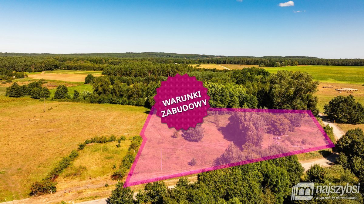 Polecam działkę 7600 m² w Rabiąż z warunkami zabudowy Wolin, Rabiąż  7 600m2 Foto 1