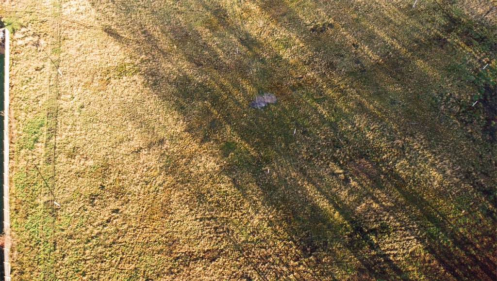 Działka budowlana na sprzedaż Żary, Bociania  1 100m2 Foto 12