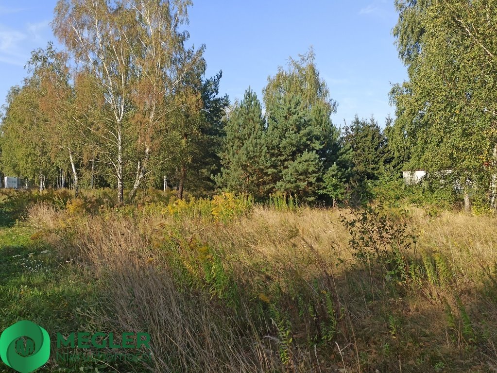 Działka budowlana na sprzedaż Jastrzębnik  1 400m2 Foto 4