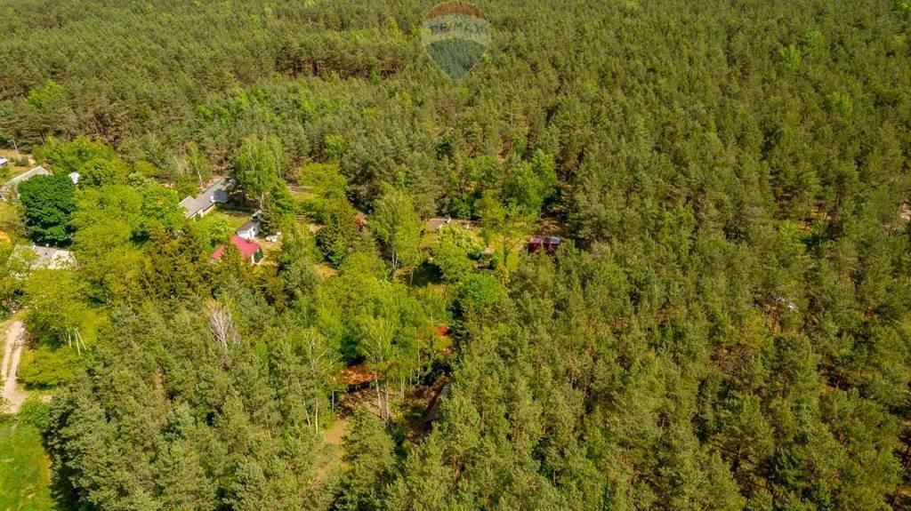 Działka leśna z prawem budowy na sprzedaż Rynia, Ignacego Paderewskiego  4 461m2 Foto 7