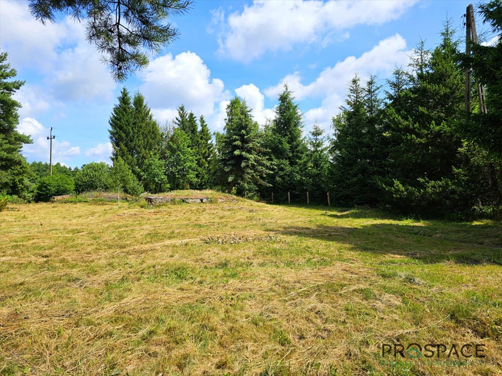 Działka 1513 m² z pięknym drzewostanem i pełnym wyposażeniem Zielona Góra  1 513m2 Foto 1
