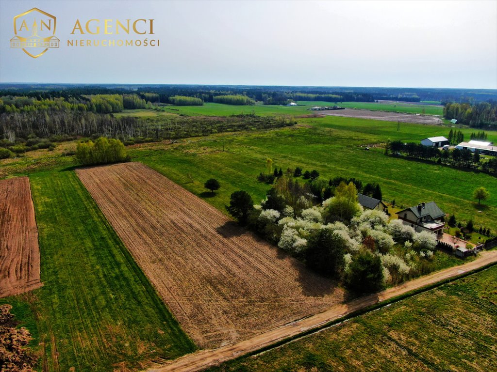 Działka budowlana na sprzedaż Skrybicze  9 200m2 Foto 8