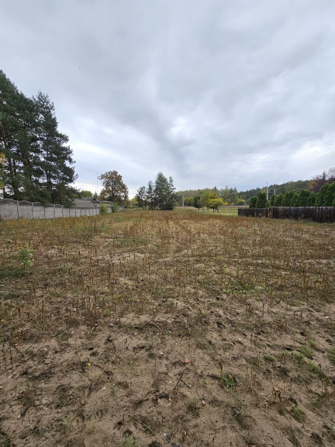 Działka inna na sprzedaż Tomaszów Mazowiecki  2 890m2 Foto 2