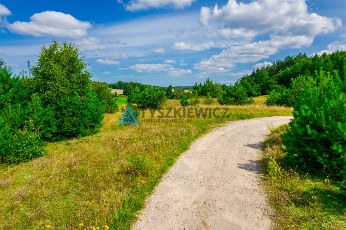 Działka budowlana na sprzedaż Roztoka  1 500m2 Foto 4