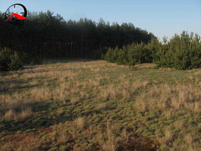 Działka rekreacyjna na sprzedaż Lubówiec  1 000m2 Foto 8