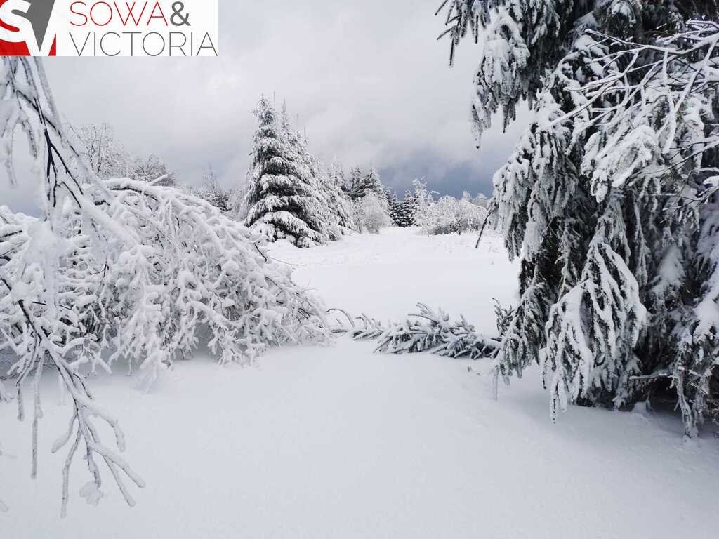 Działka budowlana na sprzedaż Sierpnica  1 078m2 Foto 14