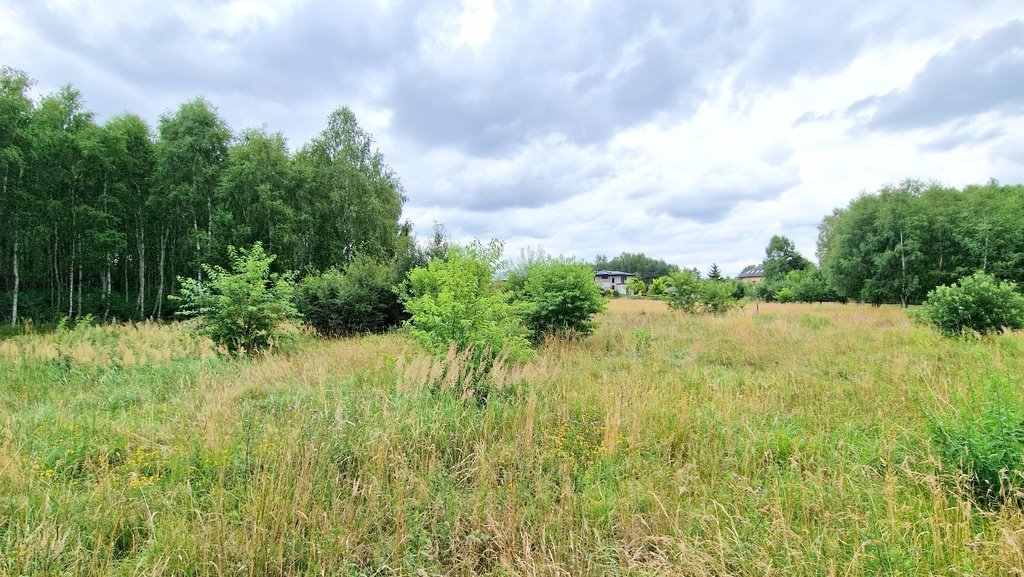 Działka budowlana na sprzedaż Gruszewnia, Górna  3 001m2 Foto 8