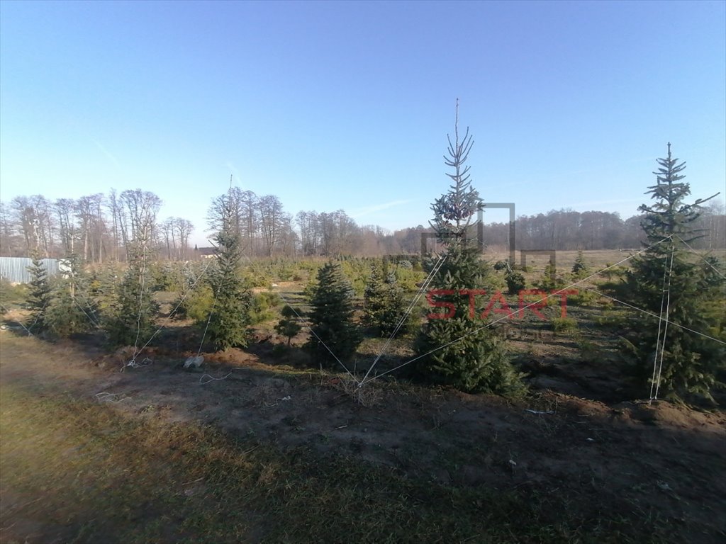 Działka siedliskowa na sprzedaż Grądy  3 000m2 Foto 5