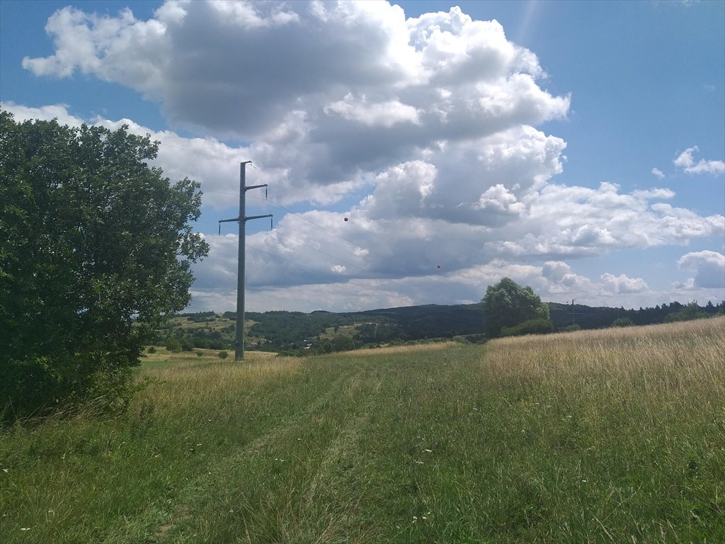 Działka rolna na sprzedaż Makowiska  9 700m2 Foto 8