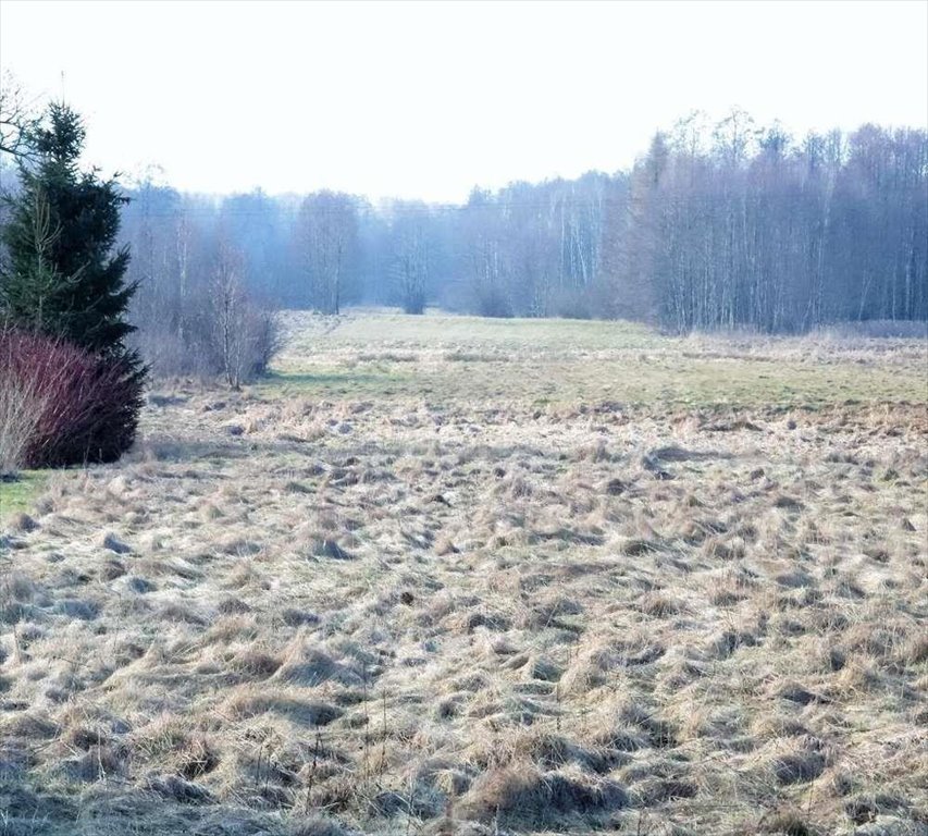 Działka budowlana na sprzedaż Wiśniew  3 100m2 Foto 6