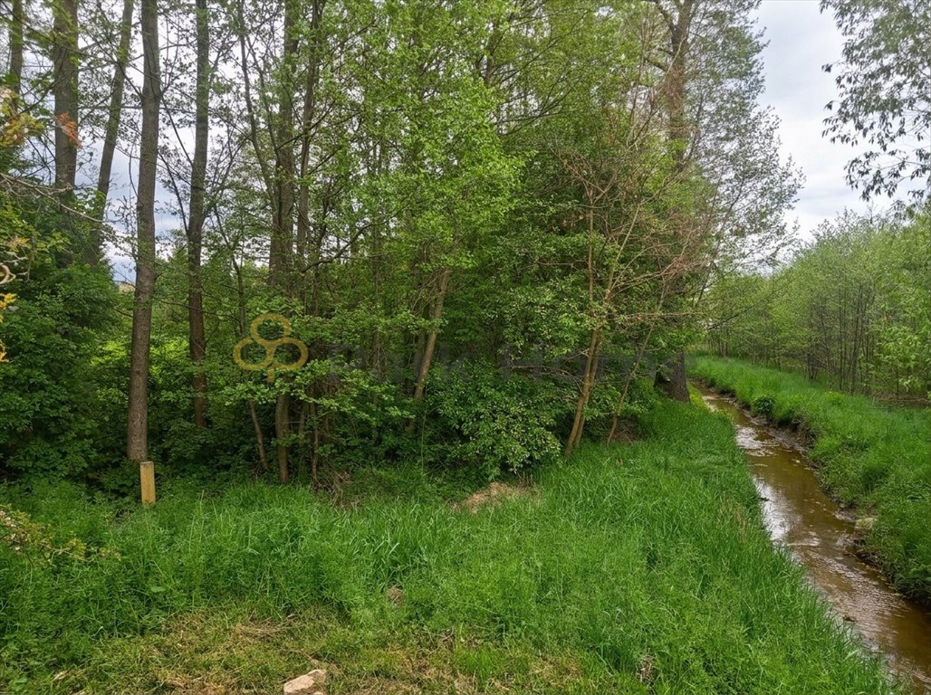 Działka rekreacyjna 11 476 m² w Gozdnicy – prywatność i natura Gozdnica  11 476m2 Foto 1