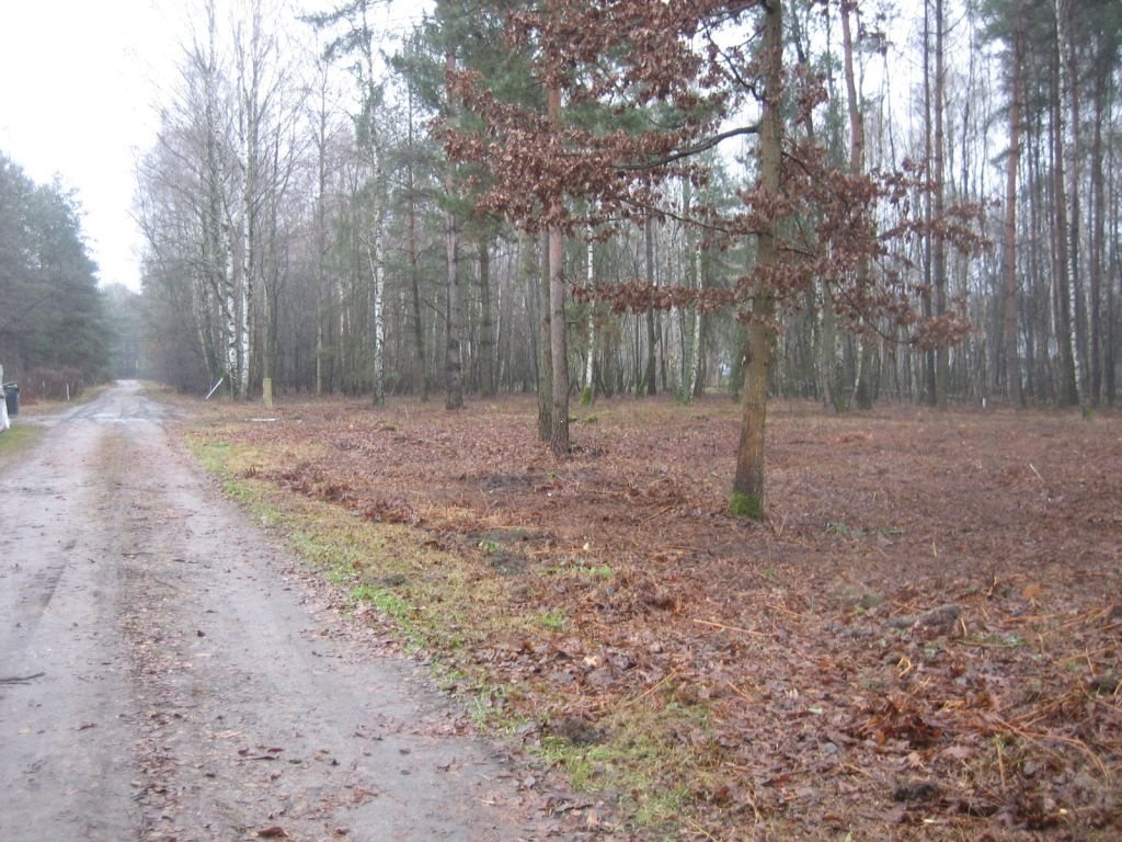 Działka budowlana na sprzedaż Aleksandrów Łódzki, obok Rezerwatu Przyrody  819m2 Foto 9