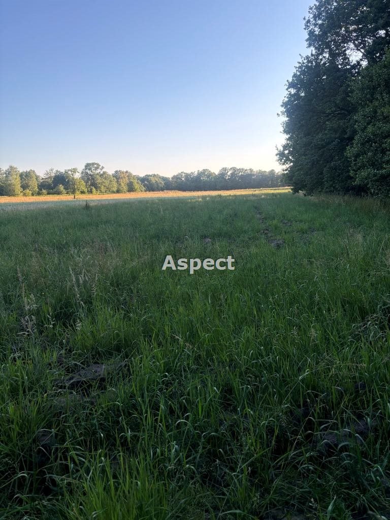 Działka rolna na sprzedaż Ochaby Wielkie  5 700m2 Foto 1