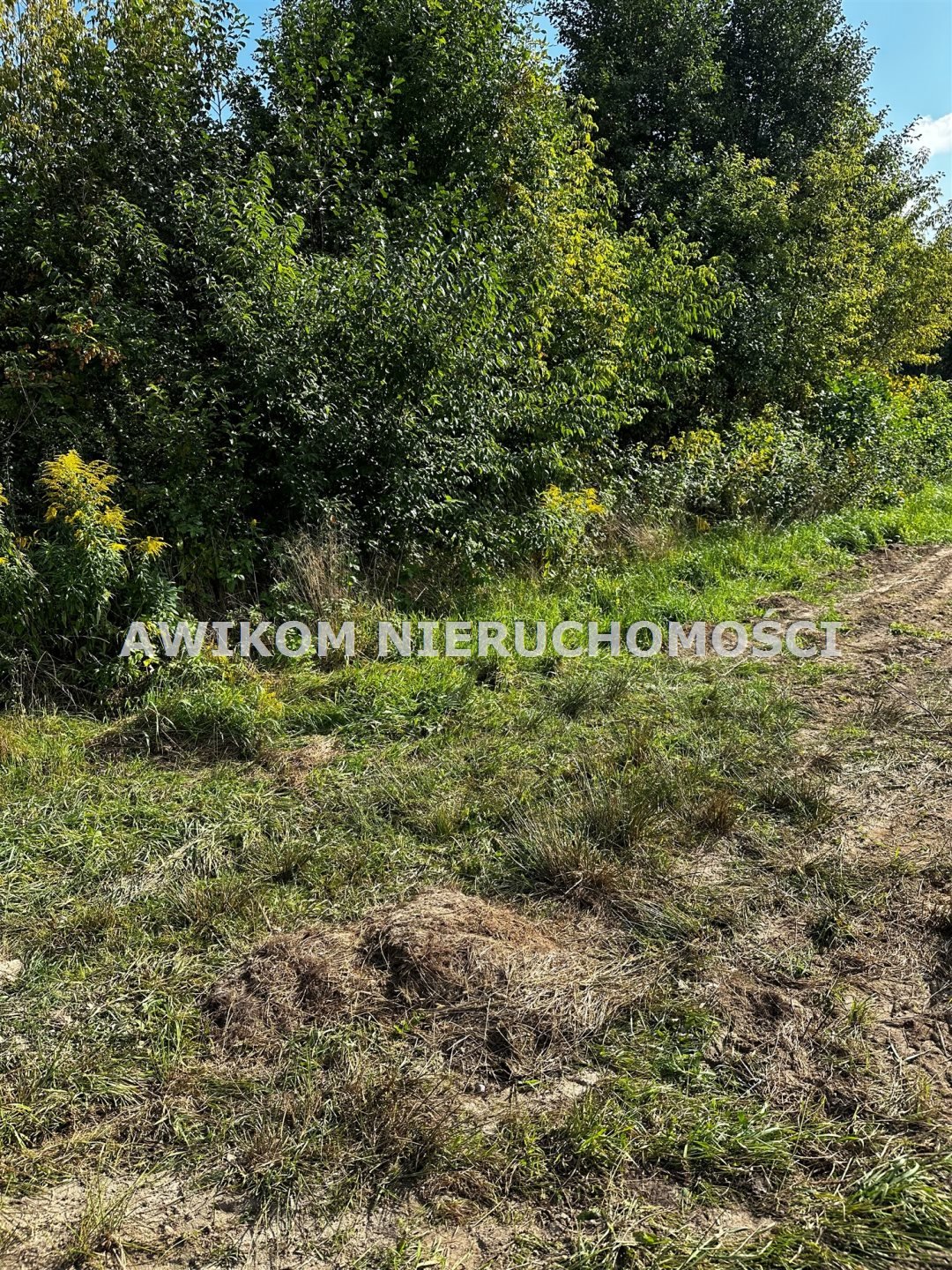 Działka budowlana na sprzedaż Grodzisk Mazowiecki, Marynin  2 092m2 Foto 3