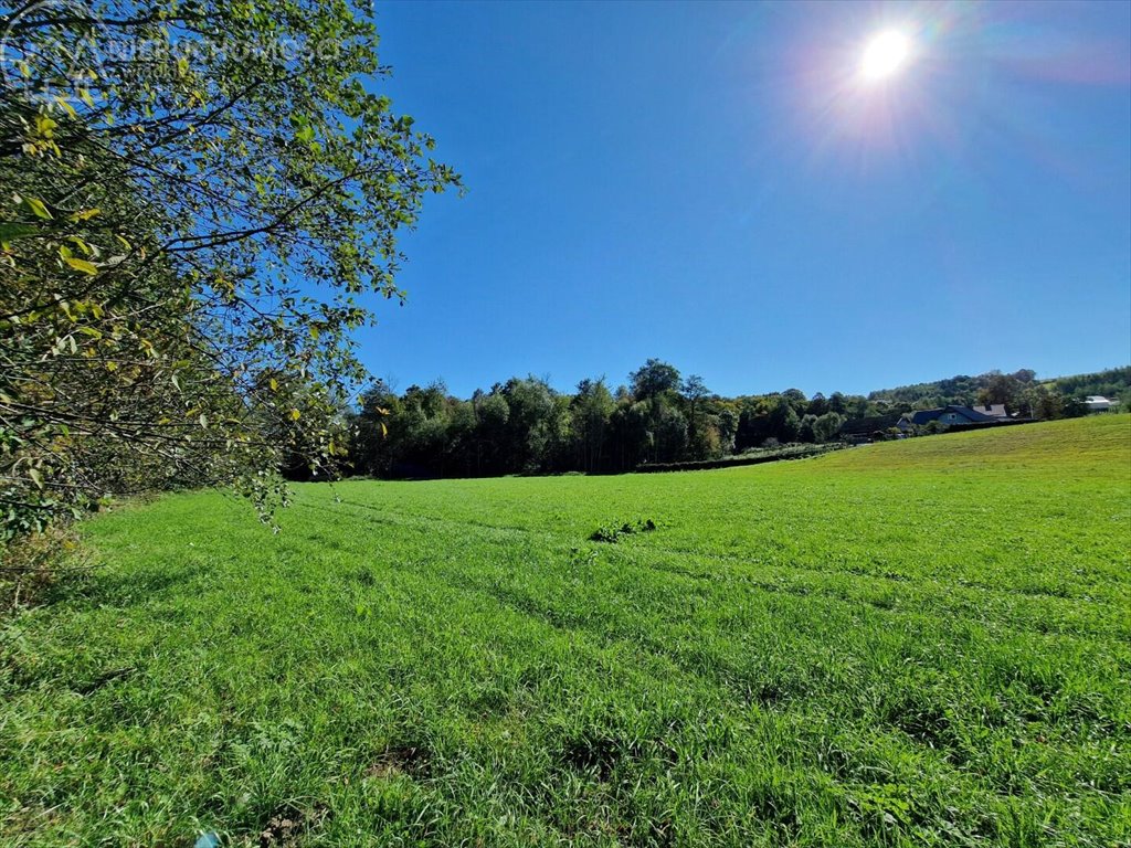 Działka rolna na sprzedaż Strzeszyn  3 900m2 Foto 1