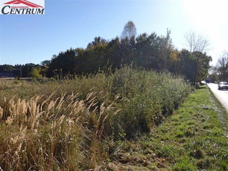 Działka budowlana na sprzedaż Białogard, Lulewiczki  1 001m2 Foto 4