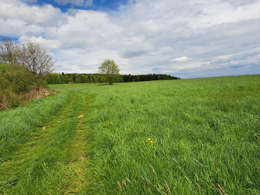 Działka budowlana na sprzedaż Lipinki  3 031m2 Foto 4