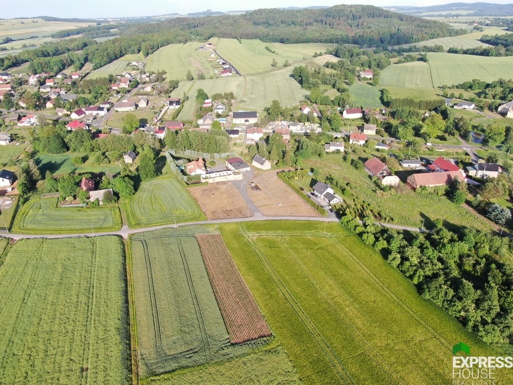 Działka budowlana na sprzedaż Pielgrzymka  4 400m2 Foto 5