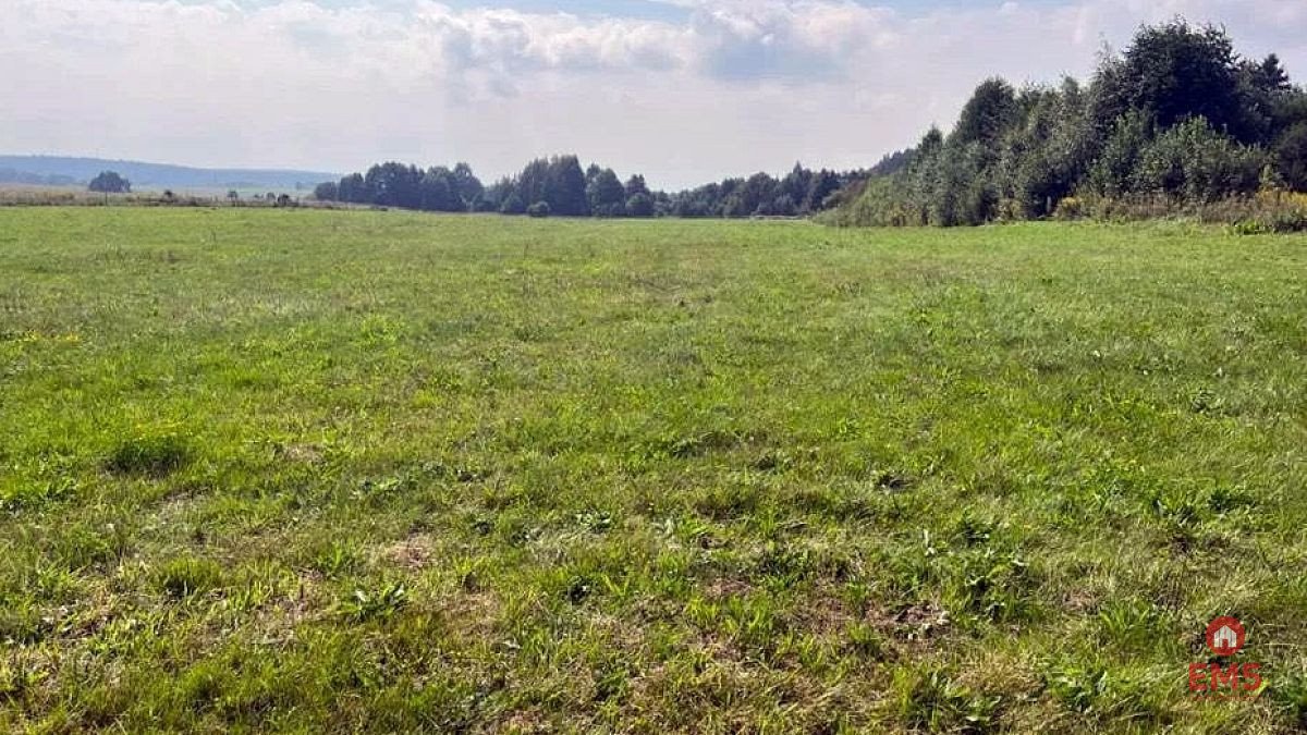 Działka 2533 m² w Studziankach – idealna pod dom i rekreację Studzianki  2 533m2 Foto 1