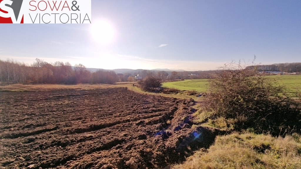 Działka inna na sprzedaż Wałbrzych, Lubiechów  3 069m2 Foto 3