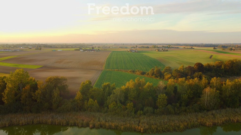 Działka budowlana na sprzedaż Kaliszany  16 000m2 Foto 9