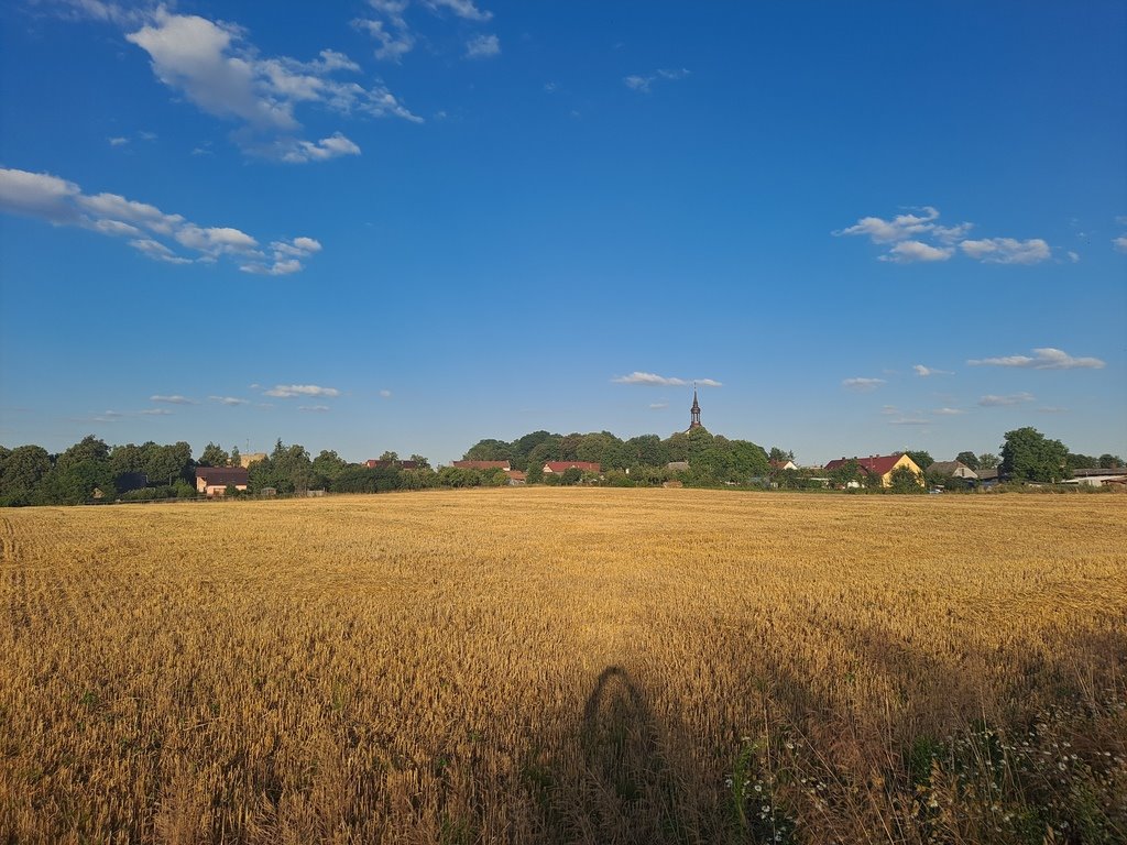 Działka budowlana na sprzedaż Biezdrowo  3 162m2 Foto 8