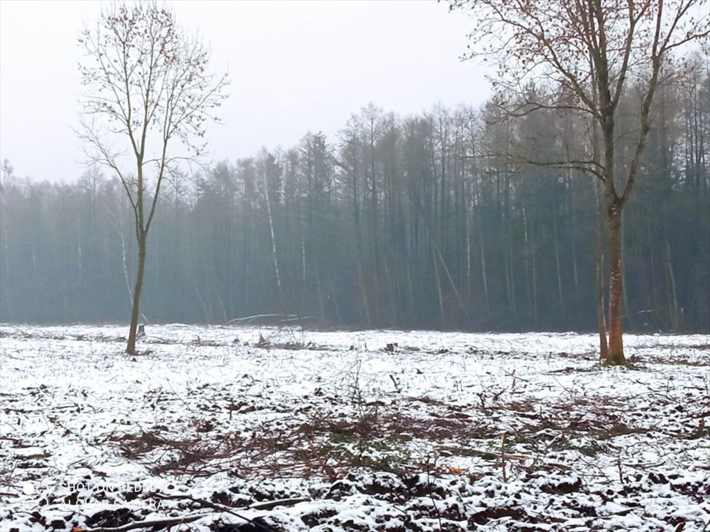 Działka budowlana na sprzedaż Halickie  5 440m2 Foto 7