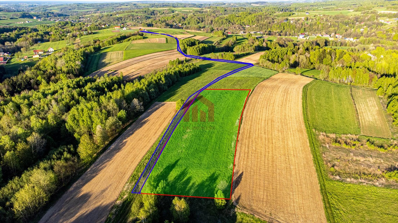 Działka rekreacyjna na sprzedaż Szkodna  4 000m2 Foto 4