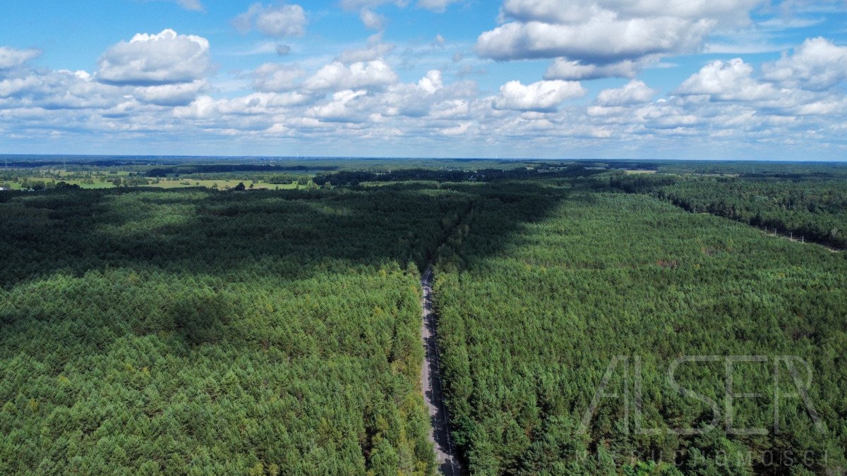 Działka budowlana na sprzedaż Stare Bosewo, Rzeczna  3 823m2 Foto 8