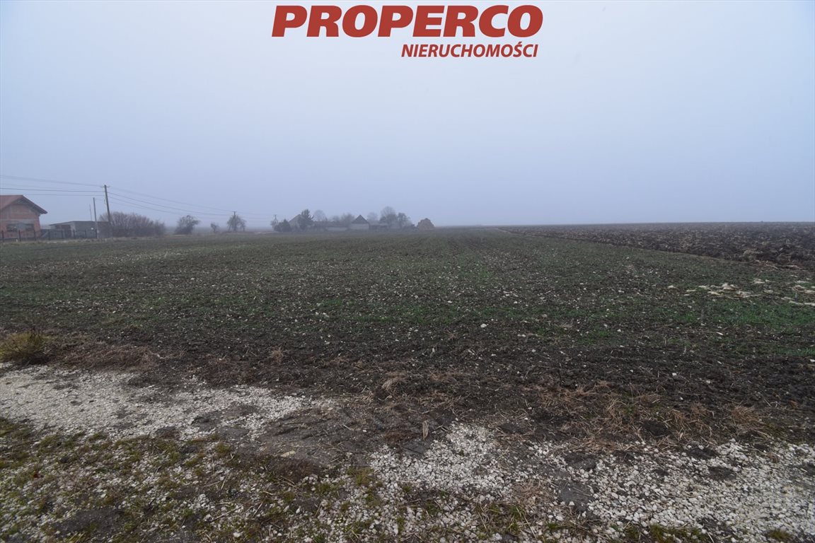 Działka 6200 m² w Potok Mały, media, asfaltowa droga Jędrzejów, Potok Mały  6 200m2 Foto 1