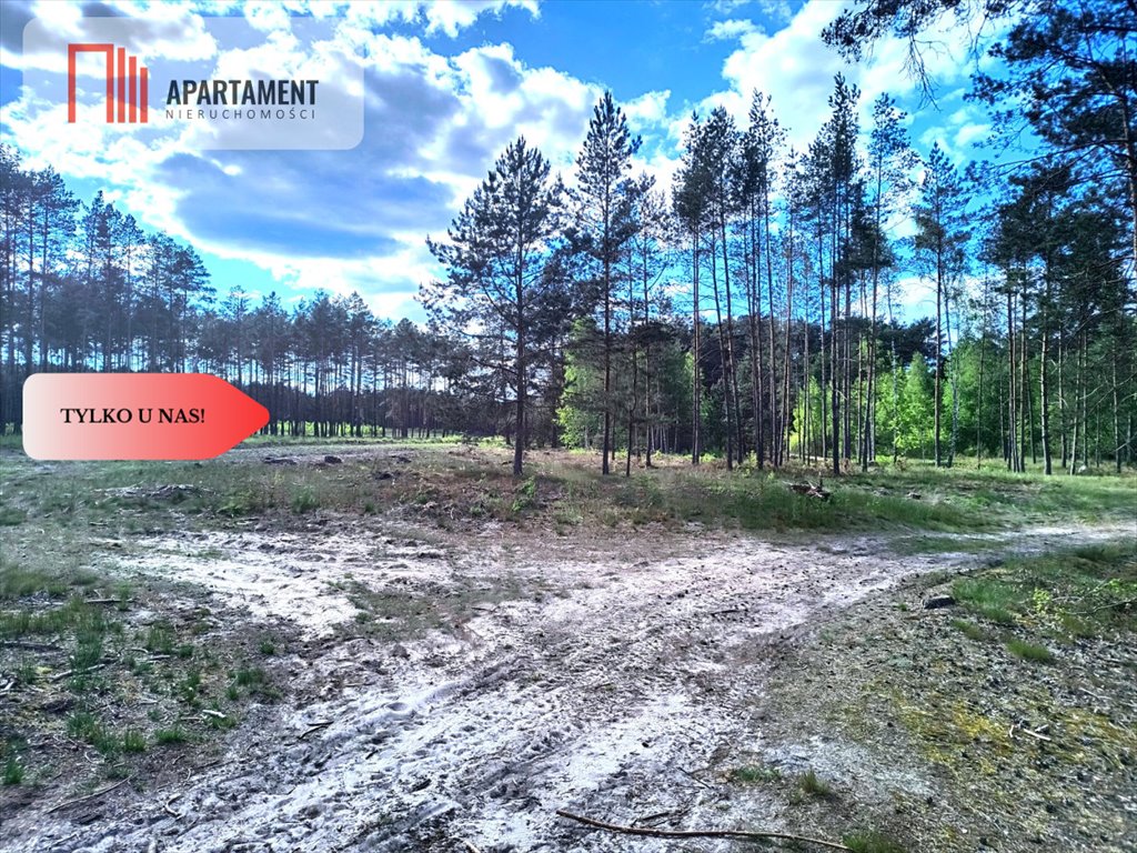 Działka budowlana na sprzedaż Tleń  1 192m2 Foto 2