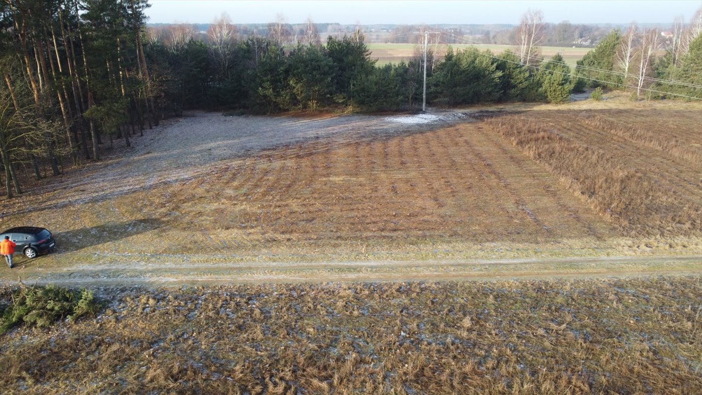 Działka rolna na sprzedaż Henrykowo  3 000m2 Foto 14