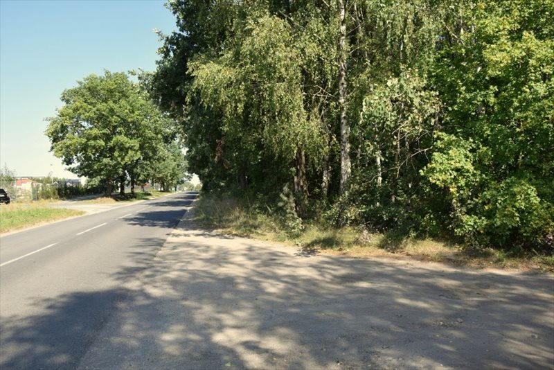 Działka leśna na sprzedaż Chojniczki, Chojnicka 51 000m2 Foto 1 Działka leśna na sprzedaż Chojniczki, Chojnicka 51 000m2 Foto 1