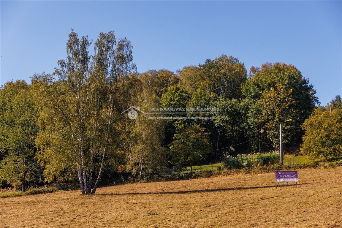 Działka budowlana na sprzedaż Bystra Krakowska  8 228m2 Foto 2