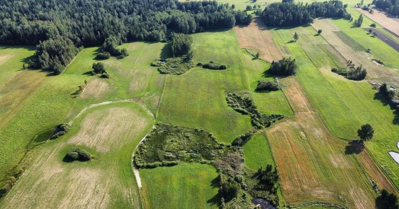 Działka rolna na sprzedaż Przerośl  37 400m2 Foto 5