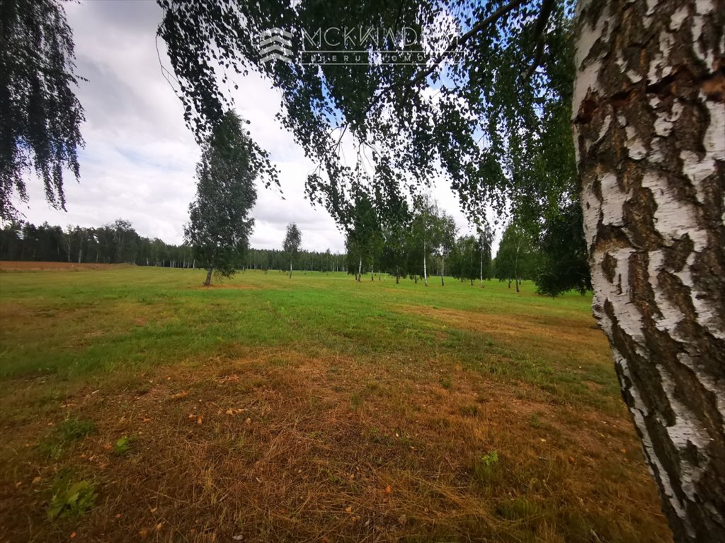 Działka rolna na sprzedaż Węgorzewo  3 523m2 Foto 6