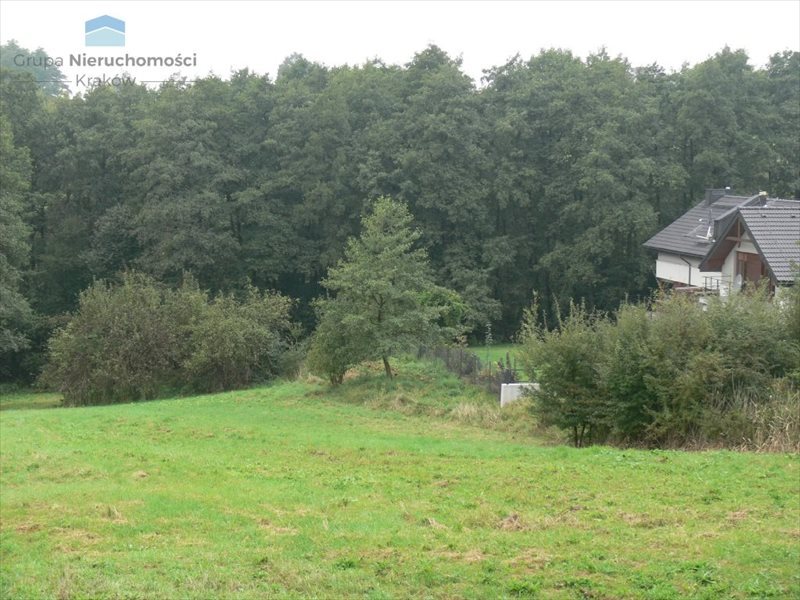 Działka budowlana na sprzedaż Kraków, Swoszowice, Golkowicka 5 000m2 Foto 1 Działka budowlana na sprzedaż Kraków, Swoszowice, Golkowicka 5 000m2 Foto 1
