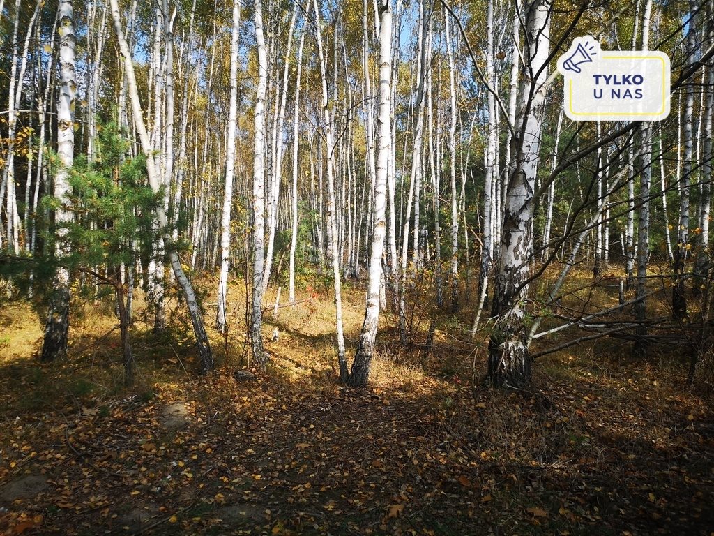 Działka rekreacyjna na sprzedaż Ponik 3 150m2 Foto 1 Działka rekreacyjna na sprzedaż Ponik 3 150m2 Foto 1
