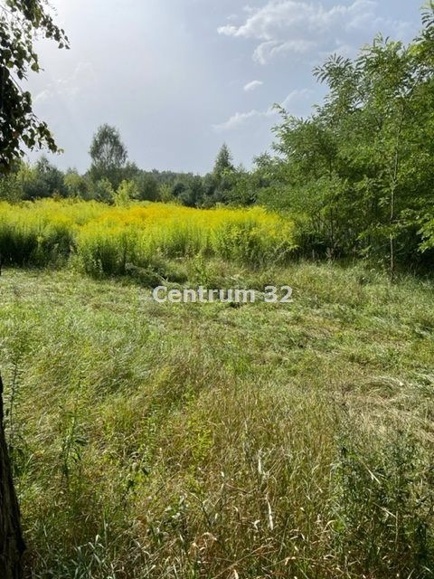 Sprzedam działkę 51 200 m² z mediami przy asfaltowej drodze Tarczyn, Korzeniówka, Topolowa  51 200m2 Foto 1