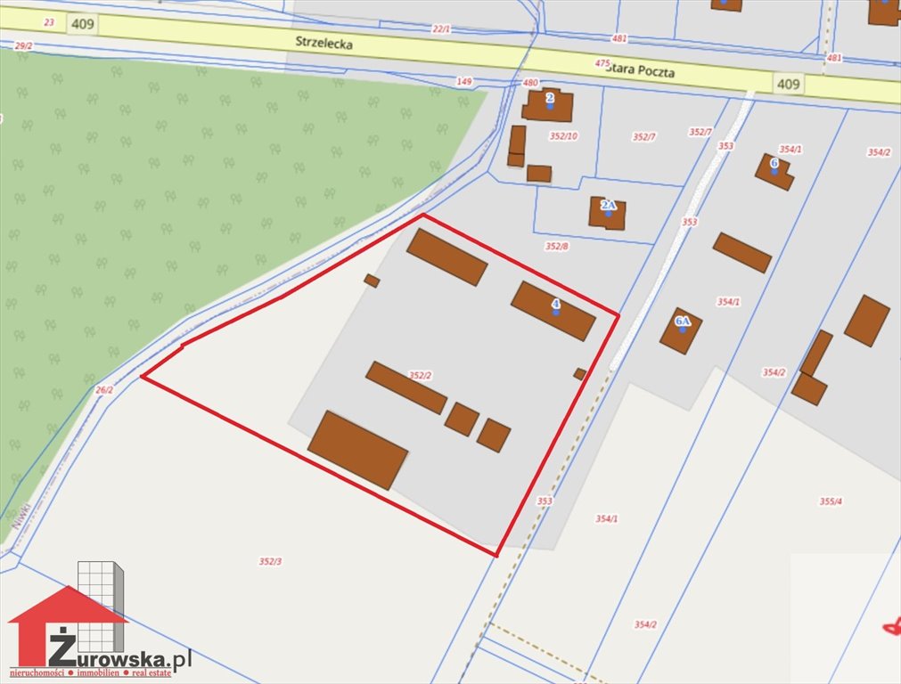 Działka budowlana na sprzedaż Kalinowice  10 000m2 Foto 1