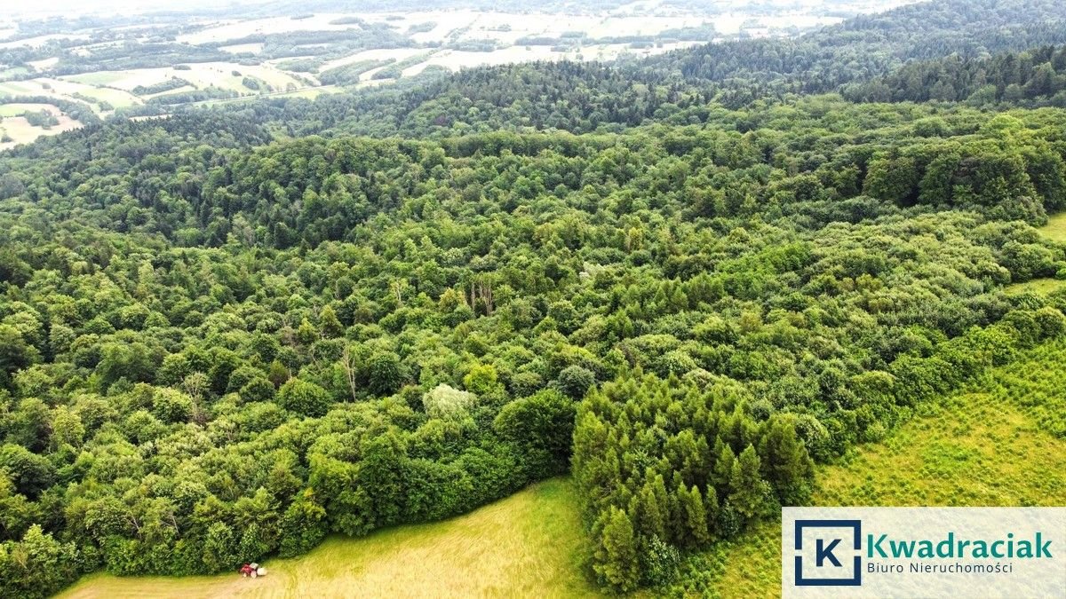 Działka leśna na sprzedaż Stary Żmigród  96 100m2 Foto 5