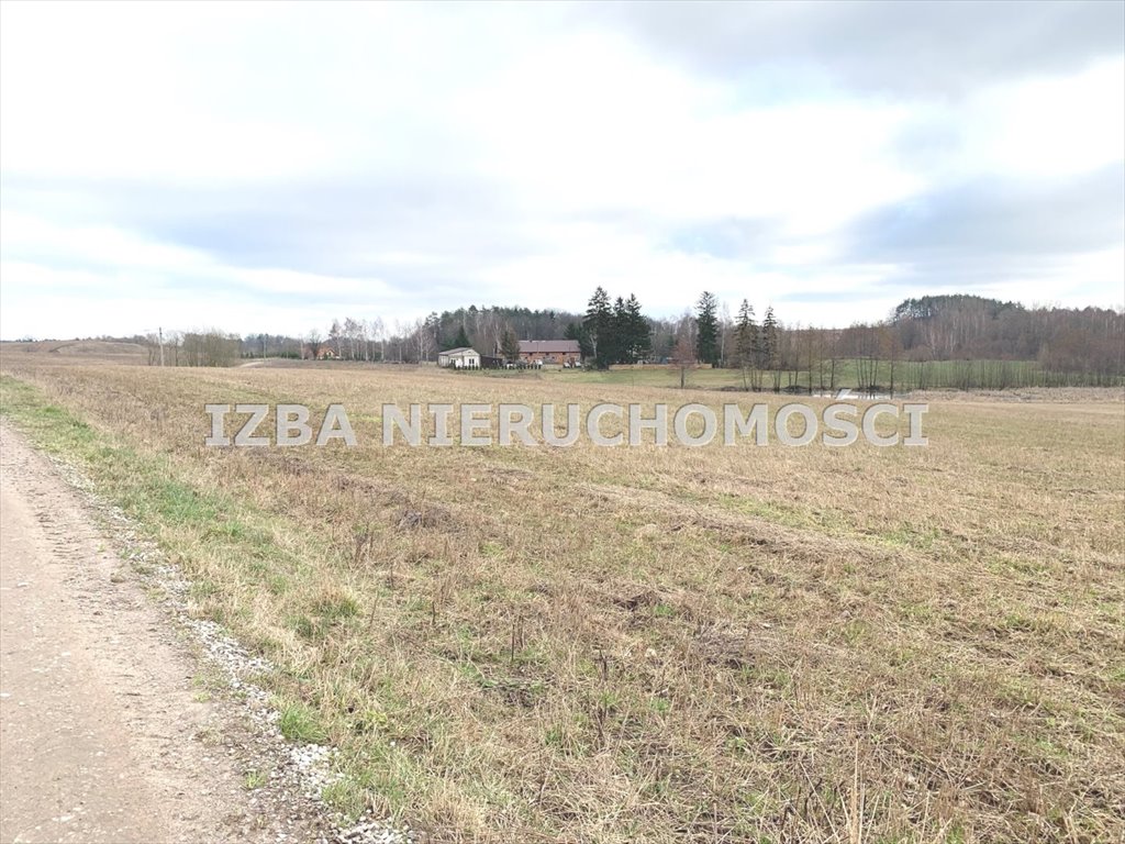 Działka rekreacyjna na sprzedaż Rękusy  3 000m2 Foto 4