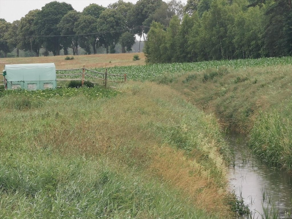 Działka budowlana na sprzedaż Międzybłocie, Międzybłocie  3 008m2 Foto 4