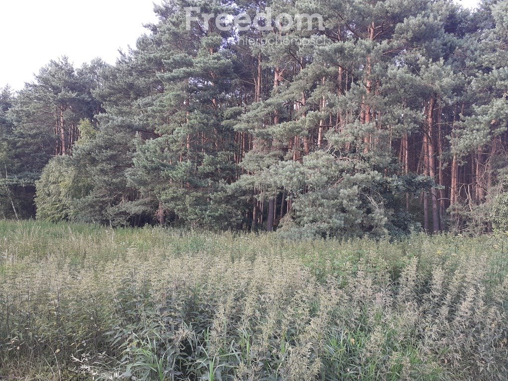 Działka leśna na sprzedaż Ciechocinek  20 573m2 Foto 3