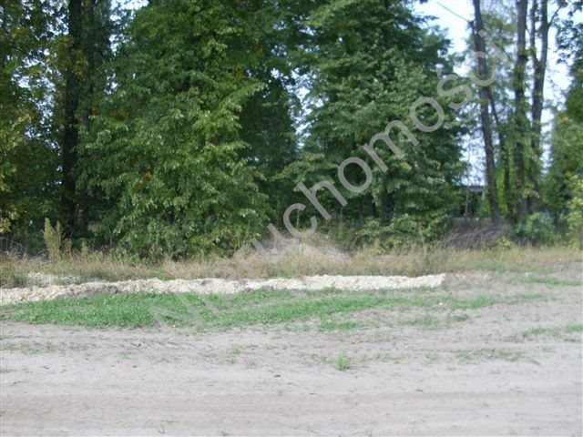 Działka usługowa 1,22 ha przy drodze asfaltowej z mediami Żuków  12 200m2 Foto 1