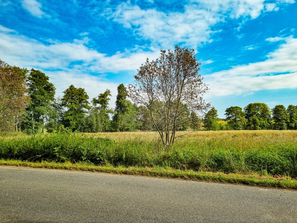 Działka inna na sprzedaż Wilkanów  1 500m2 Foto 4