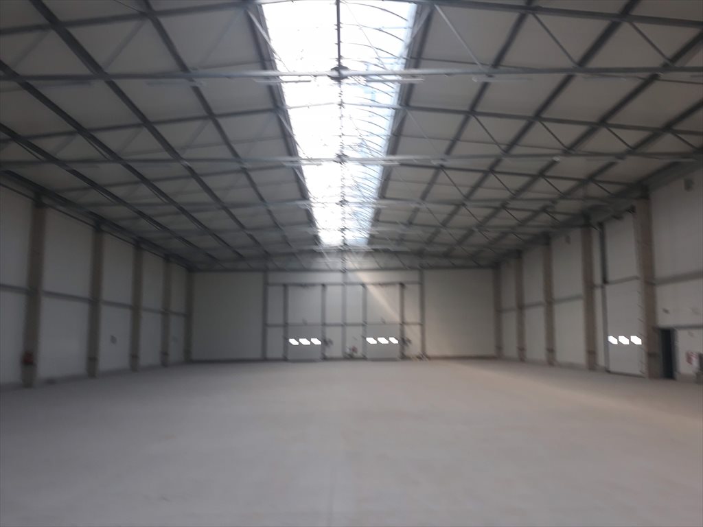 Lokal użytkowy na wynajem Gorzów Wielkopolski 1 800m2 Foto 1 Lokal użytkowy na wynajem Gorzów Wielkopolski 1 800m2 Foto 1