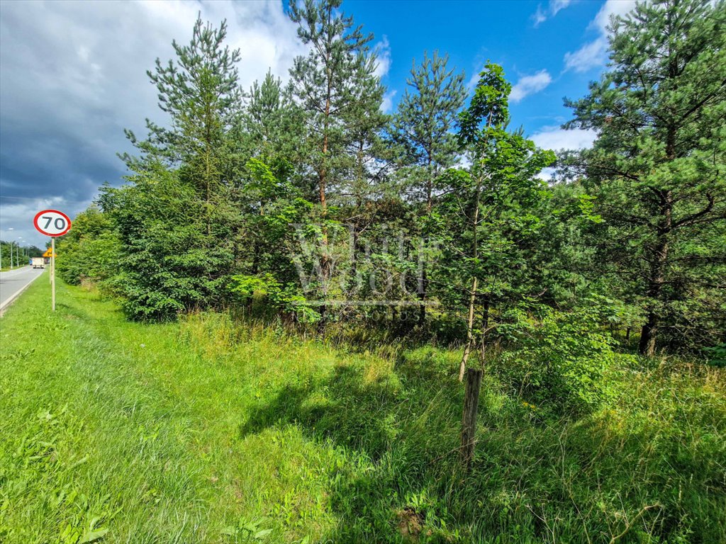 Działka budowlana na sprzedaż Bojano, Józefa Wybickiego  1 206m2 Foto 11